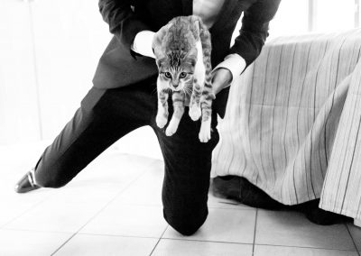 Groom preparation with a cat in a wedding in rome